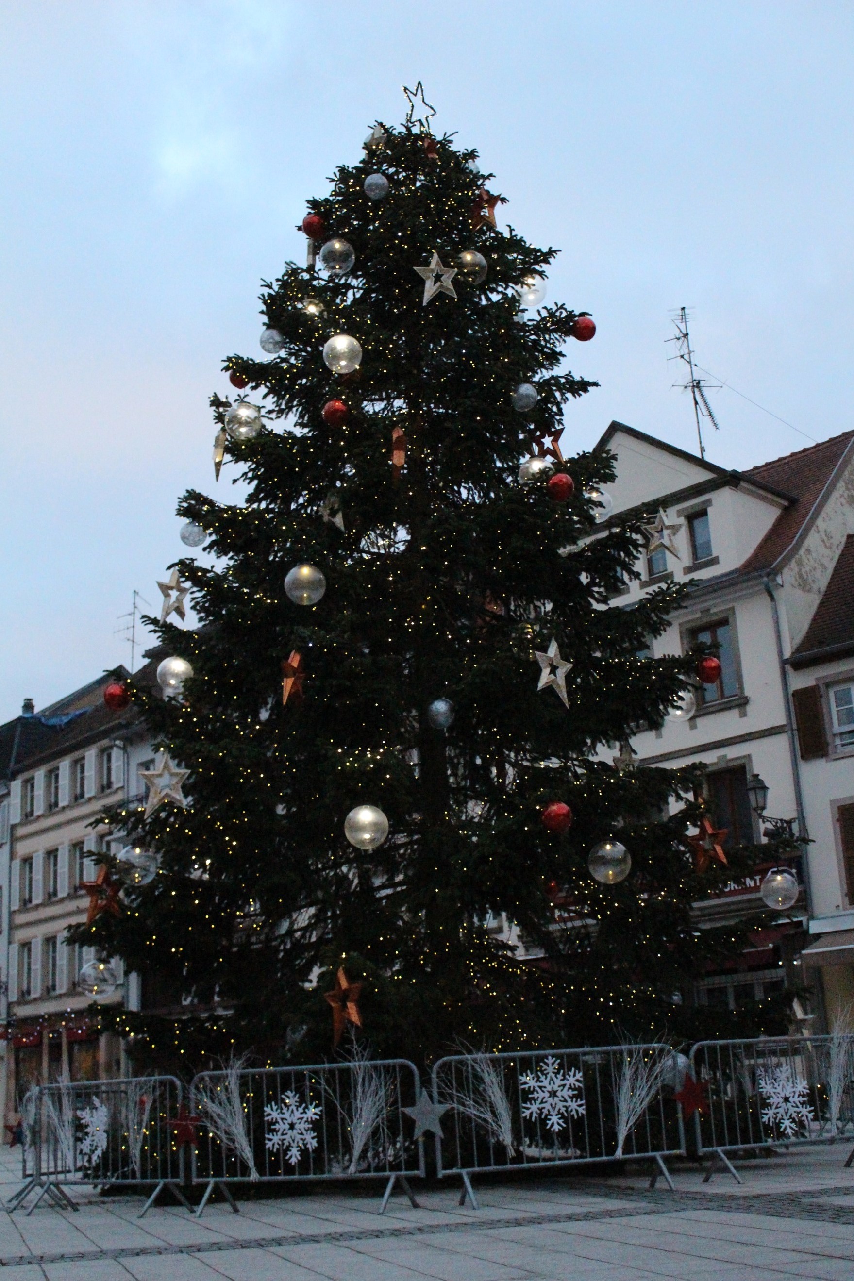 Le sapin de Noel de Molsheim